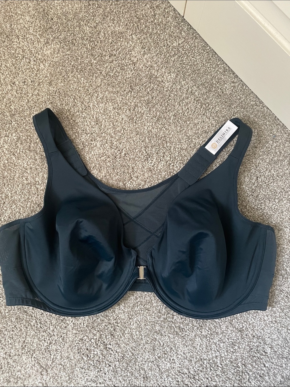 Delimira Posture Plunge Front-Close Underwire Bra Sz 44D back smoothing-support